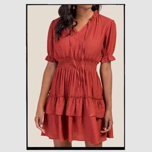 Francesca’s Orange Ruffle Dress
